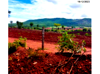 Sítio rural com 68 hectares, sem casa sede, cercado e pastagens