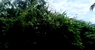Terreno amplo com piscina em Jardim Virgínia - Guarujá/SP