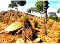 Parte ideal de imóvel rural com 10,96ha