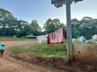 Gleba Rural 76ha com potencial agrícola e preservação ambiental