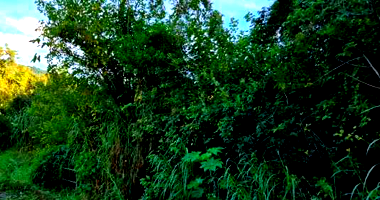 Terreno em Feliz com 4.693,47m²