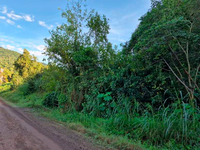 Terreno em Feliz com 4.693,47m²