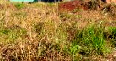 Terreno desocupado 200 m² com ótima localização e documentação regular