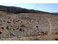 Sítio c/ 16,66ha - Malhada Fria - Ótimo Investimento Rural