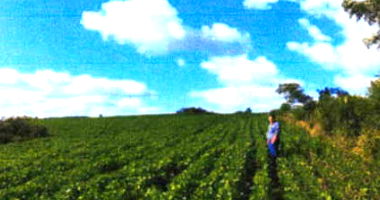 Fração de terras com 193.600m² em Lagoão RS, área rural