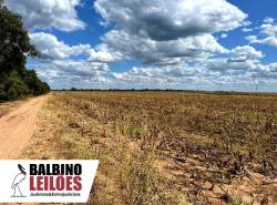 Fazenda Marajoara com 565 hectares, área rural de posse