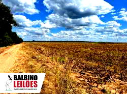 Fazenda Marajoara com 565 hectares, área rural de posse
