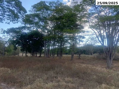 Parte ideal de fazenda com 3,23 ha em Orizona/GO
