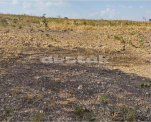 Fazenda Buriti Alto I com 358.90 hectares em Ribeiro Gonçalves/PI