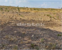 Fazenda Buriti Alto I com 358.90 hectares em Ribeiro Gonçalves/PI