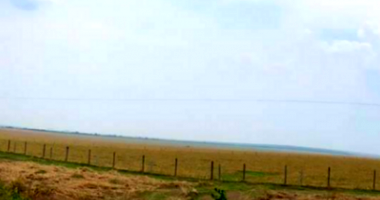 Fazenda com 240 Hectares em Brasnorte/MT