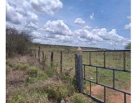 Sítio rural produtivo com 80,16 hectares cercados