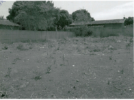 Terreno amplo de 450m², lote vago, com infraestrutura básica