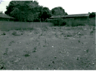 Terreno amplo de 450m², lote vago, com infraestrutura básica