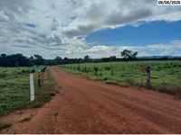 Sítio com 10,79 hectares, plano e cercado, sem benfeitorias