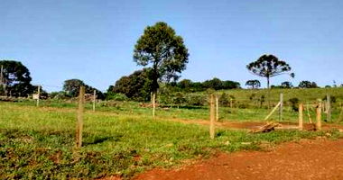 Terreno Rural com 4ha em Guarapuava/PR