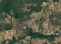 Fazenda Conquista - 251 hectares de terras pastais e lavradias