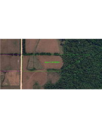 Fazenda São Carlos, 27,7 hectares, Serra do Veado, Balsa Nova/PR