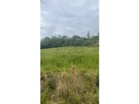 Fração de terras com 16.830m² em Lagoão/RS