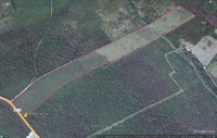 Fazenda Rural com 40 hectares em Tuntum/MA