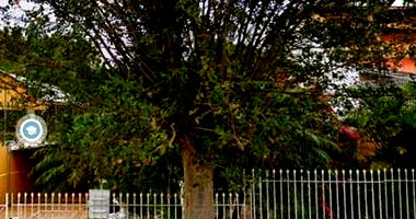 Casa com 201,60m² em Curitiba/PR