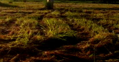 Terreno Industrial Desocupado em Porto Nacional/TO com 2.587m²