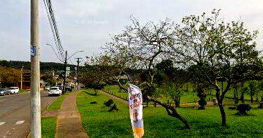 Apartamento 22 com 0 quartos e 0 banheiros no Residencial Duque de Caxias