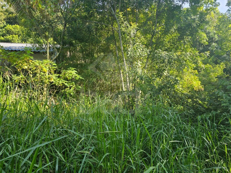 Terreno urbano de 868,29 m² no Loteamento Avifauna