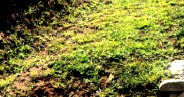 Lote Urbano de 625,39m² em Seara/SC