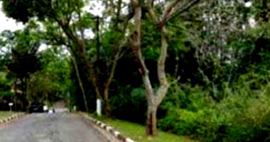 Terreno de 1.200m² no Jardim Algarve