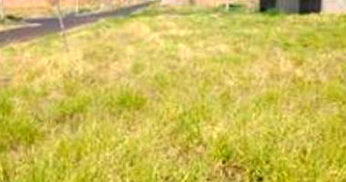 Imóvel Rural com 340m² em Orlândia-SP