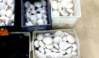 Moldes em Poliacetal para Fabricação