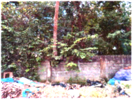 Terreno com 360m² em Senador Canedo/GO