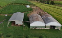 Imóvel Rural com 30.250m² em Ângulo - PR