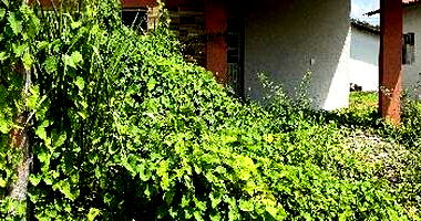 Casa com 2 quartos em Altos/PI