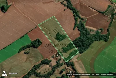 Área Rural de 90.089 m² com Hipotecas em São Martinho/RS
