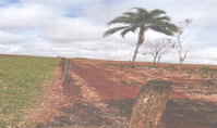 Imóvel Rural com 37,41 ha em Quirinópolis/GO