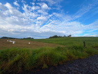 Área Rural de 10,15 Hectares com Potencial Agrícola