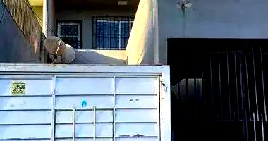 Apartamento com 2 quartos em leilão