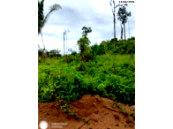 Sítio com 99,46 hectares em Ariquemes/RO