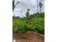 Sítio com 99,46 hectares em Ariquemes/RO