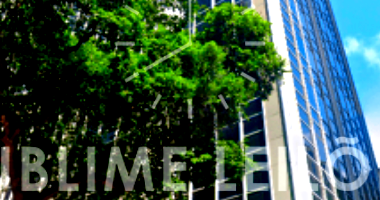 Conjunto Comercial de Alto Padrão com 379m² em Copacabana