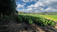 Imóvel Rural com 730m² em Irineópolis-SC