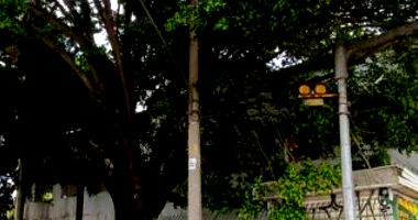 Imóvel Comercial em Leilão com Ampla Área de Terreno