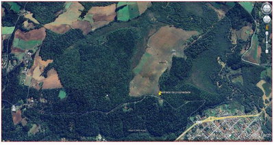 Terreno rural de 238.216 m² com área cultivada