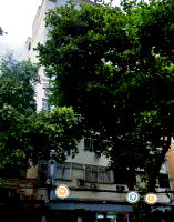 Loja Comercial na Tijuca com 2 Imagens