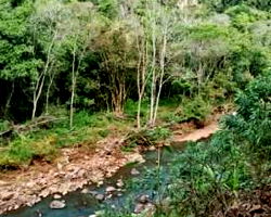 Área de Terra Rural com 82.500m²