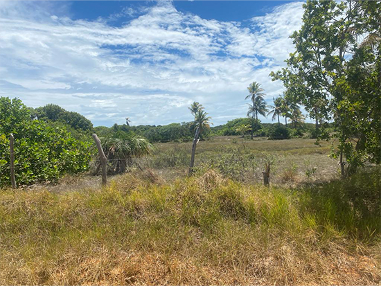 Terreno em Itaporanga D'ajuda SE com 300m²
