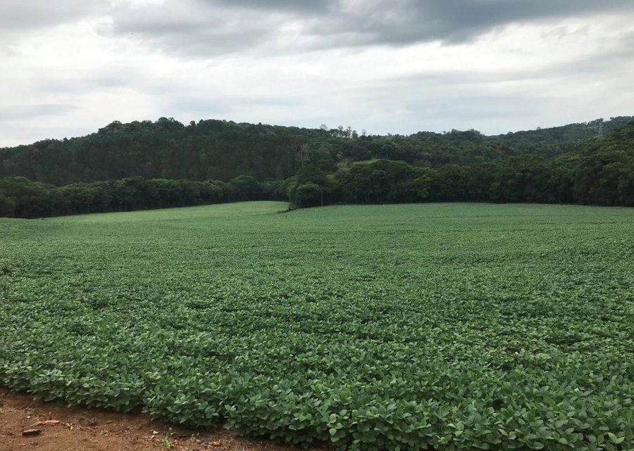 Terreno Rural com 48.400m² em Francisco Beltrão