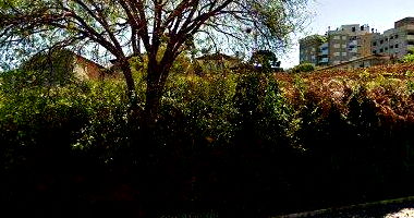 Apartamento 201 no Edifício Don Victor, 2 quartos